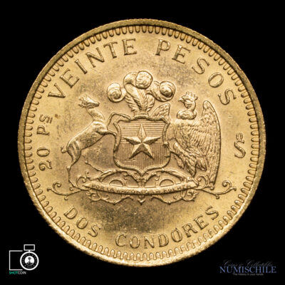 Chile, 20 Pesos 1976, Oro. #DD2