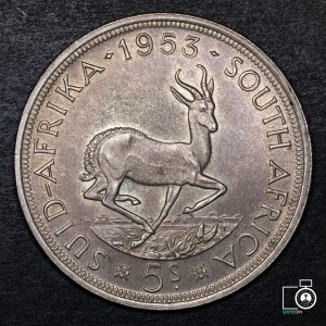 Sudáfrica, 5 Shillings 1953 (NQ) (IVA Incluido)